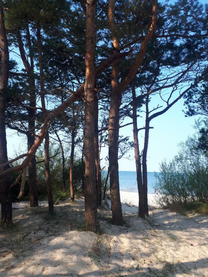 1 Apartamentai Prie Juros Połąga Zewnętrze zdjęcie